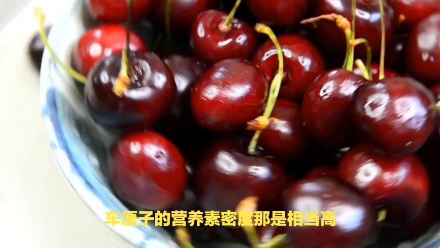 2025澳门王中王100香港王中王,今年已有13位演艺界名人离世,精准解释落实的人生哲理_豪华版V10.46