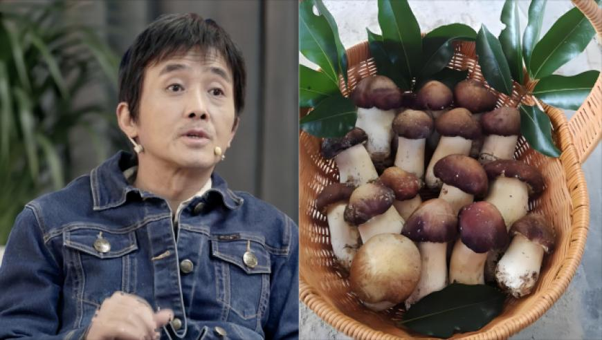 美国2000万人感染流感 死亡超1.1万,澳门彩管家婆免费资料大全大全,国产化作答解释落实_铂金版V6.64