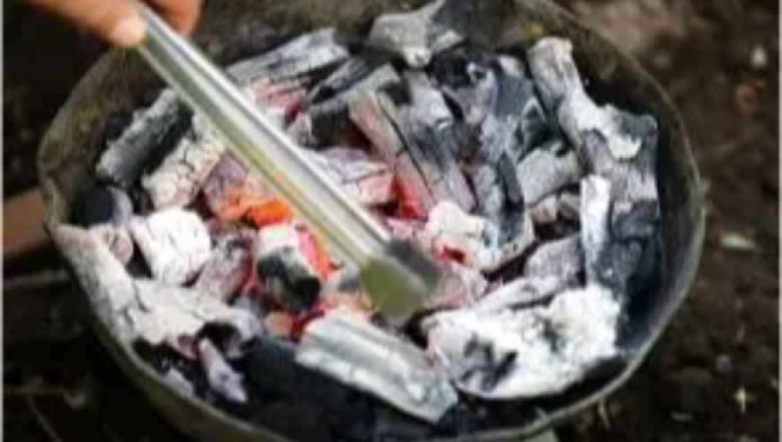 国内有影院爆米花原料已用完,澳门奖结果2025开奖记录查询表,典故解疑_静态版V7.15