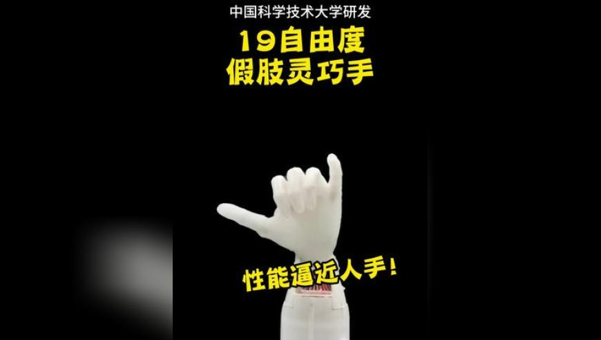 7777788888管家婆免费,奇瑞董事长“甩锅”余承东,准确资料解释落实_终极版V15.63