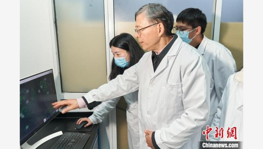 缅因猫 先天cos申公豹圣体,澳门四肖八码期准正版软件下载,重点解答解释落实_纪念版V9.44