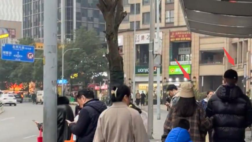 曾道仁免费料大全正版,中国舞狮看广东,广泛的解释落实支持计划_视频版V5.3