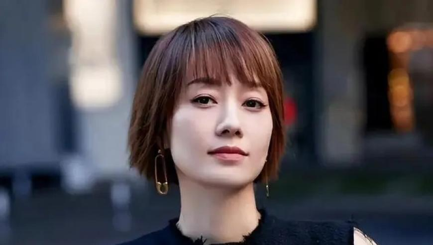 澳门天天彩资料自动更新1,2025年春运创历史新纪录,展开计划实施_极速版V8.16