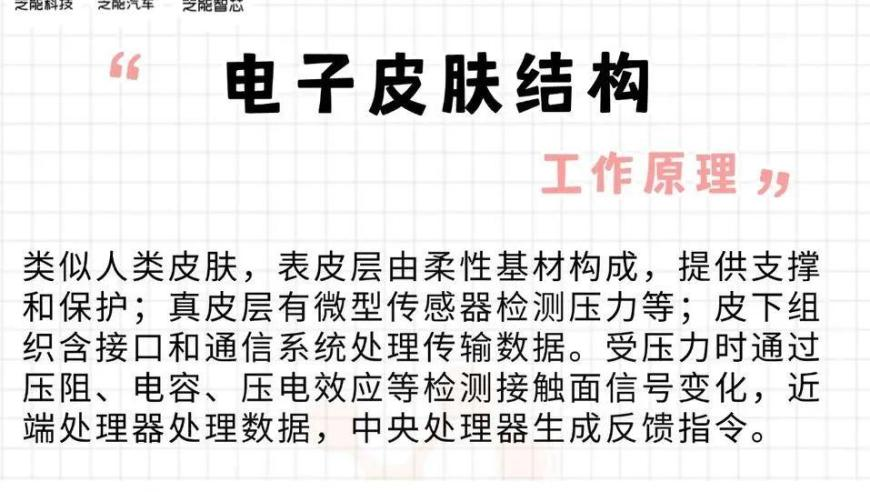 杭州蛇年首批涉宅地挂牌,78345黄大仙平步青云救世网,机构预测与落实方法揭秘_创意版V3.19