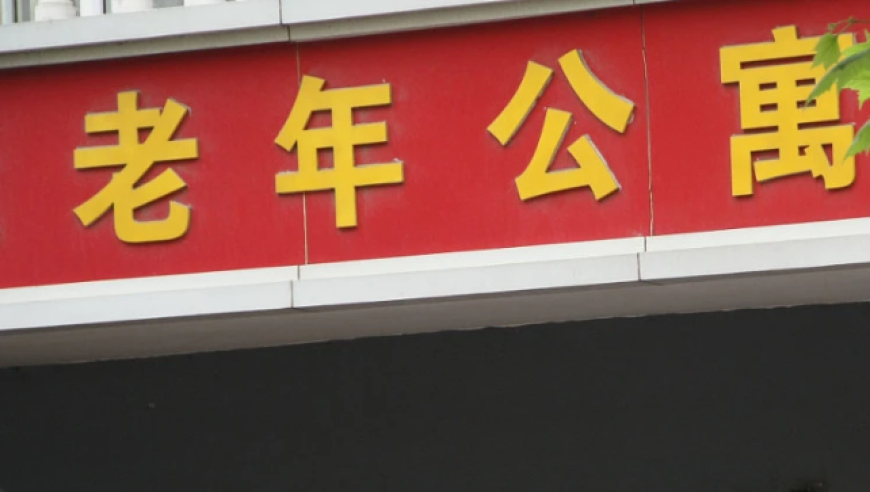 当一个普通女孩不断转行会怎样,开码香港网站今晚开什么号码,详细释义解释落实_基础版V14.23