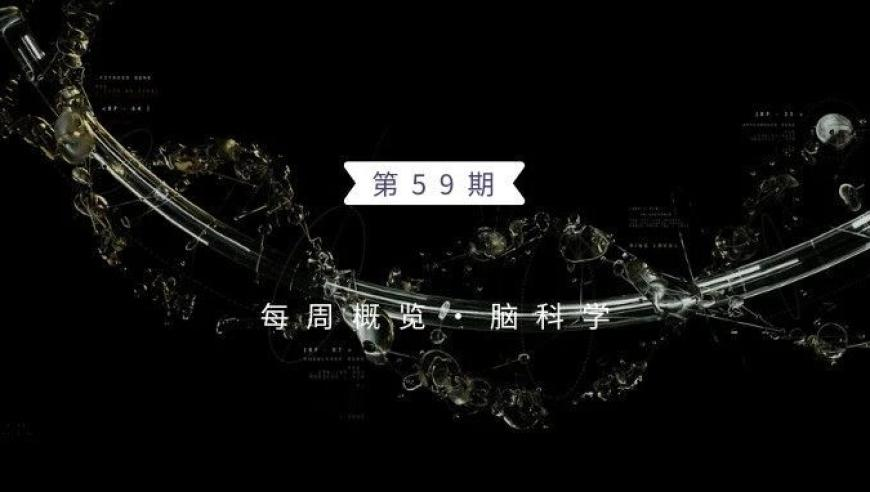 新郎接亲用十几个小红包将新娘带走,澳门资料大全正版资料下载高手,前瞻性战略落实探讨_完整版V12.71