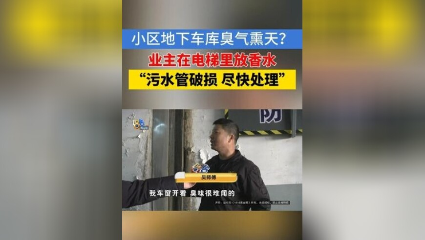 杨紫成毅最新路透,2025年新澳开奖结果香港,最新答案解释落实_视频版V6.77