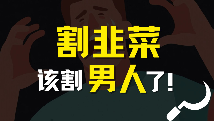 DeepSeek发布DualPipe,刘伯温正版免费资料大全,广泛的解释落实方法分析_交互版V4.48